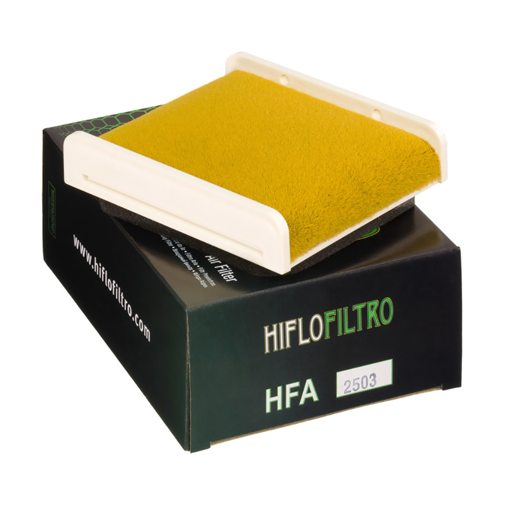 HIFLOFILTRO Air Filter Element HFA2503