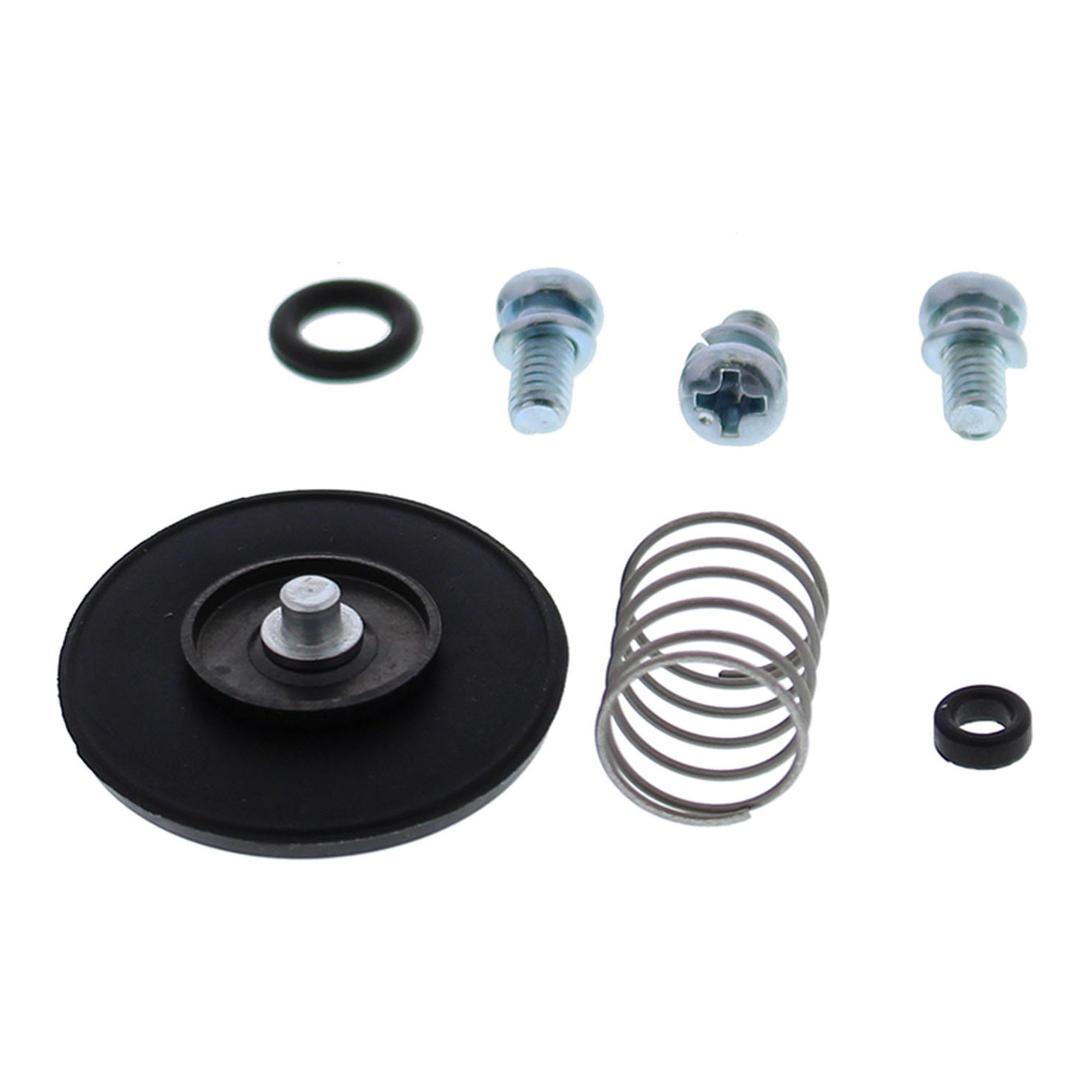 All Balls Racing Accelerator Pump Rebuild Kit (46-3003)