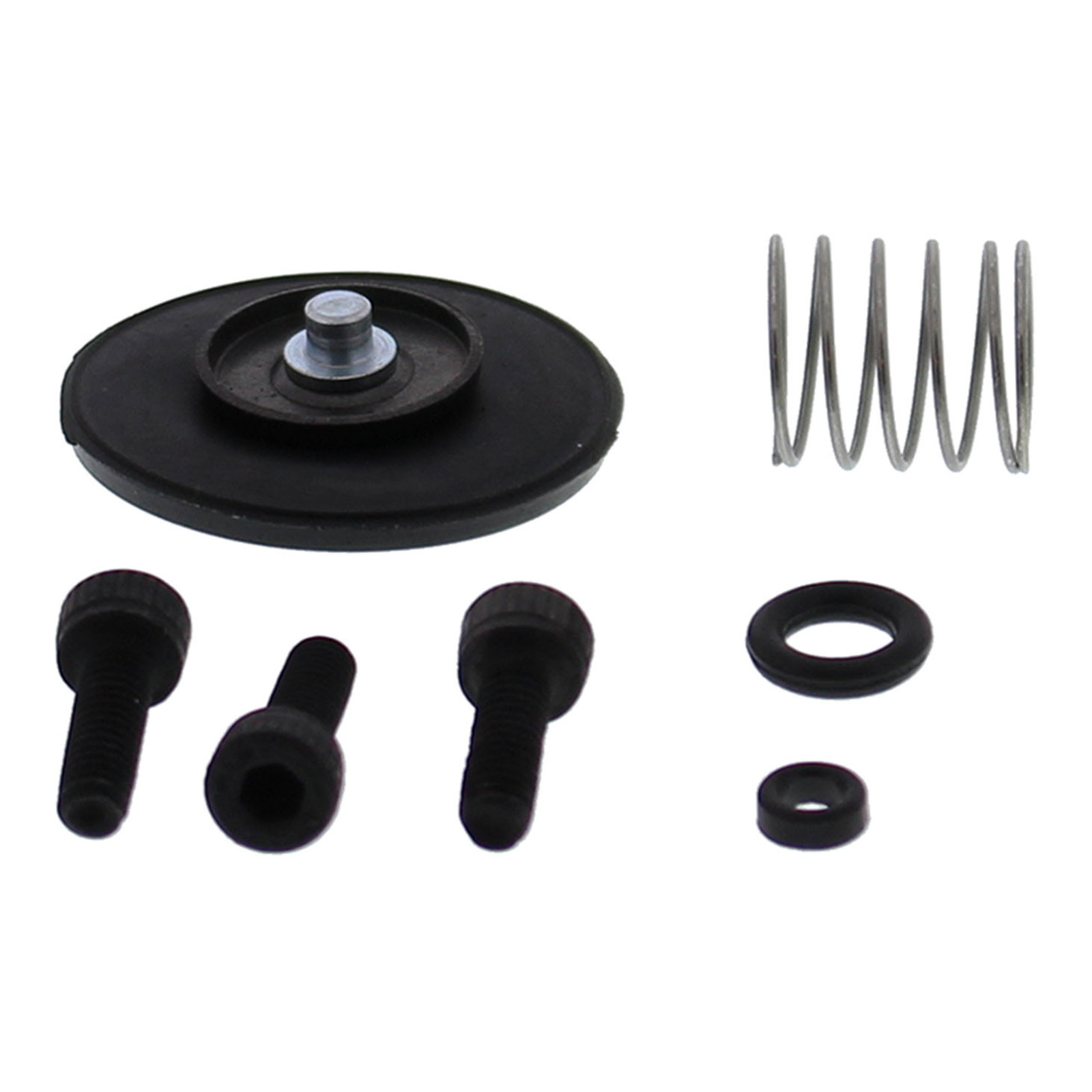 Accelerator Pump Rebuild Kit 46-3011