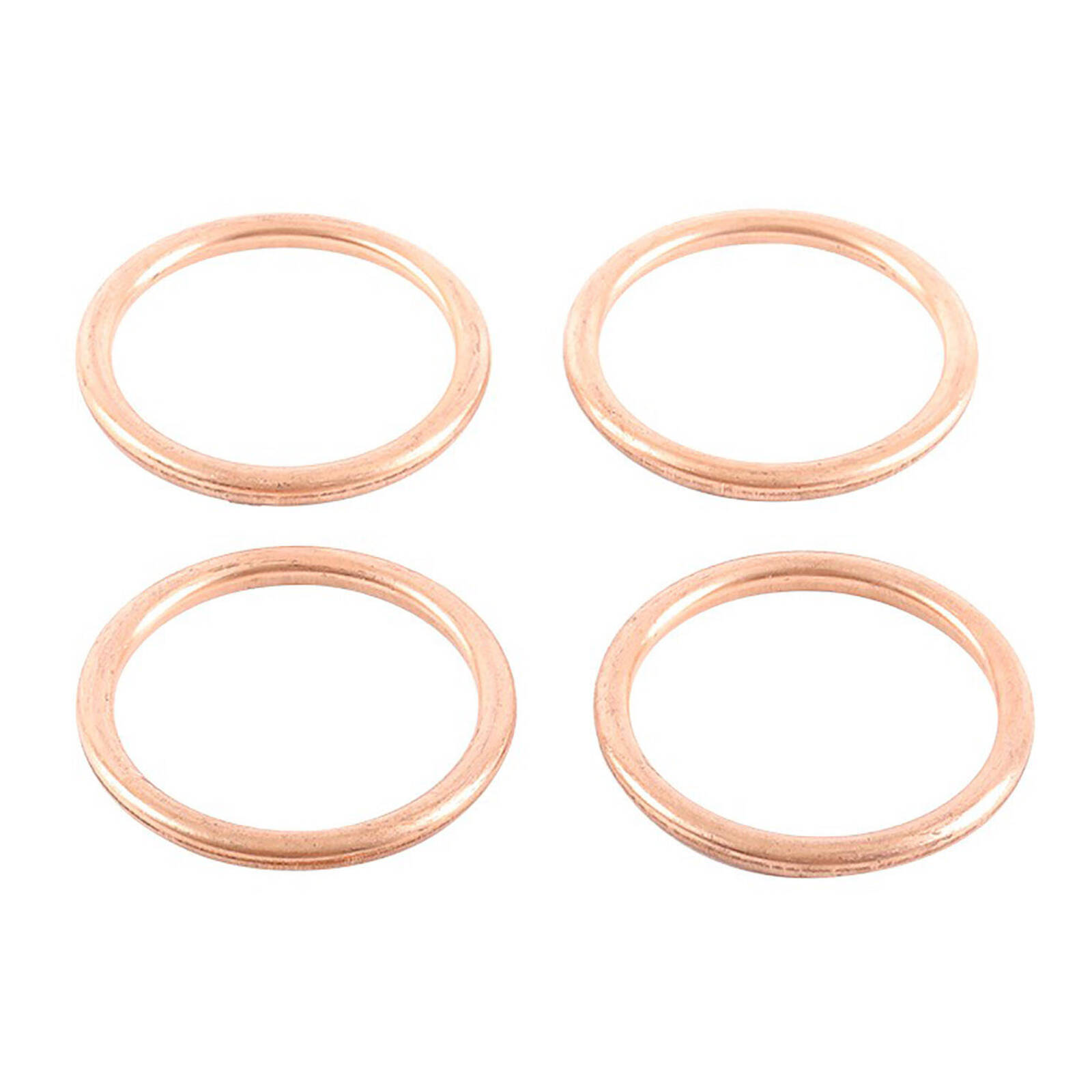 Exhaust Gasket Kit 823015