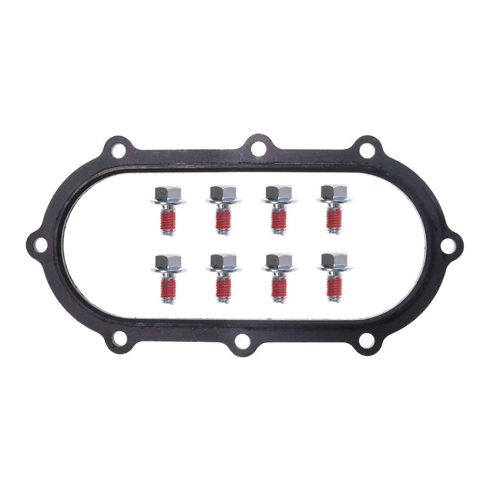 Quantum Fuel Pump Seal Gasket