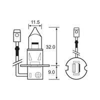 BULB - HALOGEN 12V 55W - H3 - PK22S