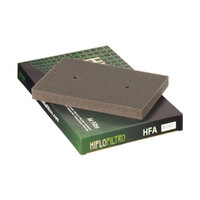 HIFLOFILTRO Air Filter Element HFA2505