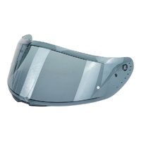 NITRO N501 VISOR