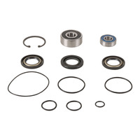 All Balls Racing Jet Pump Rebuild Kit (14-3008)