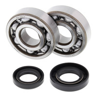 All Balls Racing Crankshaft Bearing Kit (24-1002)