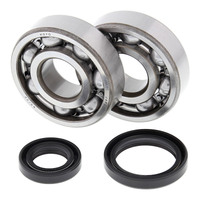 All Balls Racing Crankshaft Bearing Kit (24-1016)