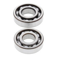 All Balls Racing Crankshaft Bearing Kit (24-1058)