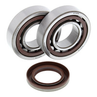 All Balls Racing Crankshaft Bearing Kit (24-1106)