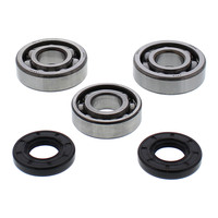 All Balls Racing Crankshaft Bearing Kit (24-1117)