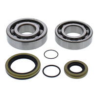 All Balls Racing Crankshaft Bearing Kit (24-1118)