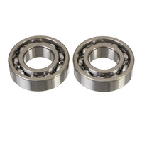 Crank Shaft Bearing Kit 24-1130