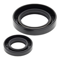 Crank Shaft Seal Kit 24-2011