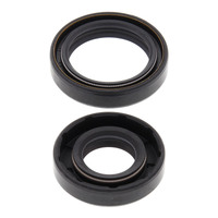 Crank Shaft Seal Kit 24-2032