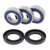 All Balls Racing Wheel Bearing Kit (25-1021)