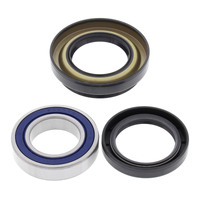 All Balls Racing Wheel Bearing Kit (25-1123)