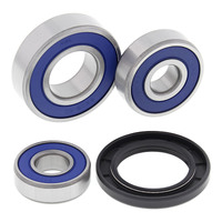 All Balls Racing Wheel Bearing Kit (25-1608)