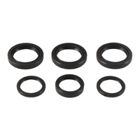Differential Seal Kit Ð 25-2065-5
