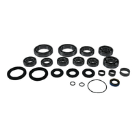 Transaxle Bearing & Seal Kit 25-2129