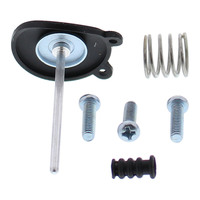 Accelerator Pump Rebuild Kit 46-3010