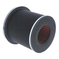 Air Filter Ð 48-1078