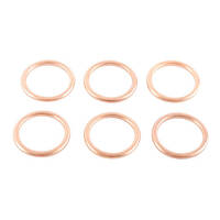 Exhaust Gasket Kit 823013