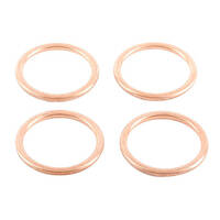 Exhaust Gasket Kit 823015