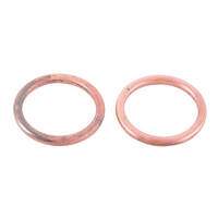 Exhaust Gasket Kit 823019