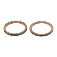 Exhaust Gasket Kit 823031