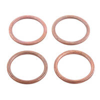 Exhaust Gasket Kit 823047