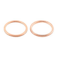 Exhaust Gasket Kit 823048