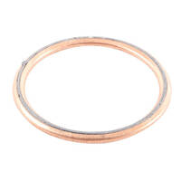 Exhaust Gasket Kit 823068