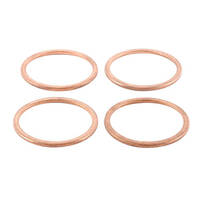 Exhaust Gasket Kit 823128