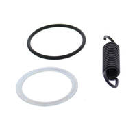 Exhaust Gasket Kit 823156