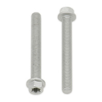 Bolt Euro Torx 6x25mm Flange Bolt (Pack of 10)