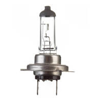 Globe 12V 55w H/L H7 Halogen (ea)