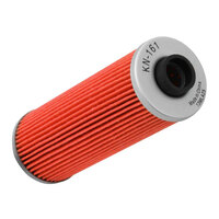 K&N Oil Filter (HF161)