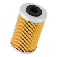 K&N Oil Filter (HF655)