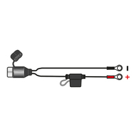 Oxford Maximiser / Oximiser-fused Ring Leads