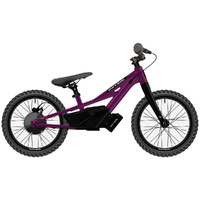 Patrol EMX 16 Anodized Prune Purple