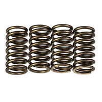 Premier Clutch Springs - Heavy Duty