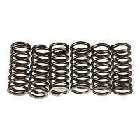 Premier Clutch Springs - Heavy Duty