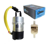 Quantum Frame-Mounted Electric Fuel Pump with Filter