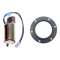 Quantum In-Tank Electric Fuel Pump with Tank Seal