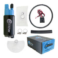 Quantum In-tank EFI Fuel Pump with Tank Seal  Filter