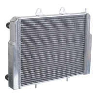 Whites ATV/UTV Radiator Pol 570/800 RZR